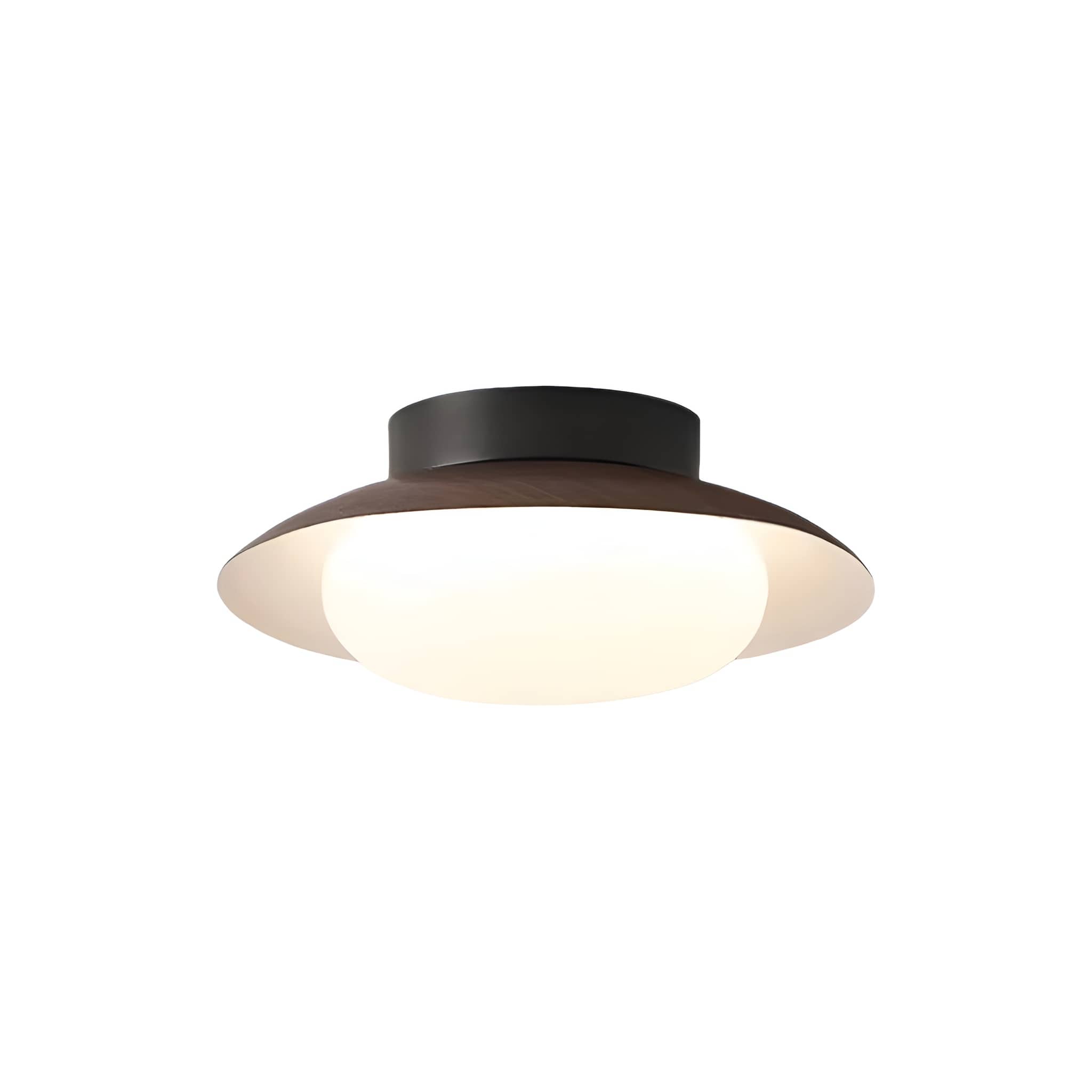 Minimalist LED Entryway Round Ceiling Light