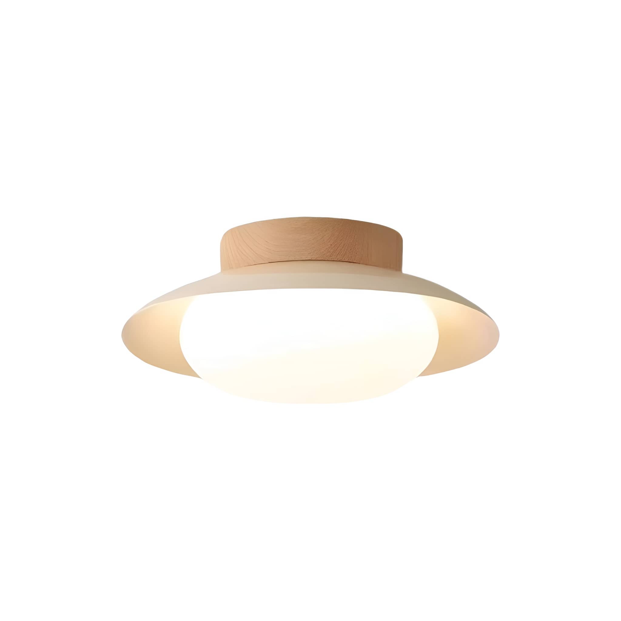 Minimalist LED Entryway Round Ceiling Light