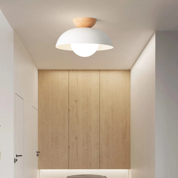 Modern Bowl Shaped Metal Ceiling Light