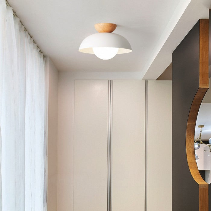 Modern Bowl Shaped Metal Ceiling Light