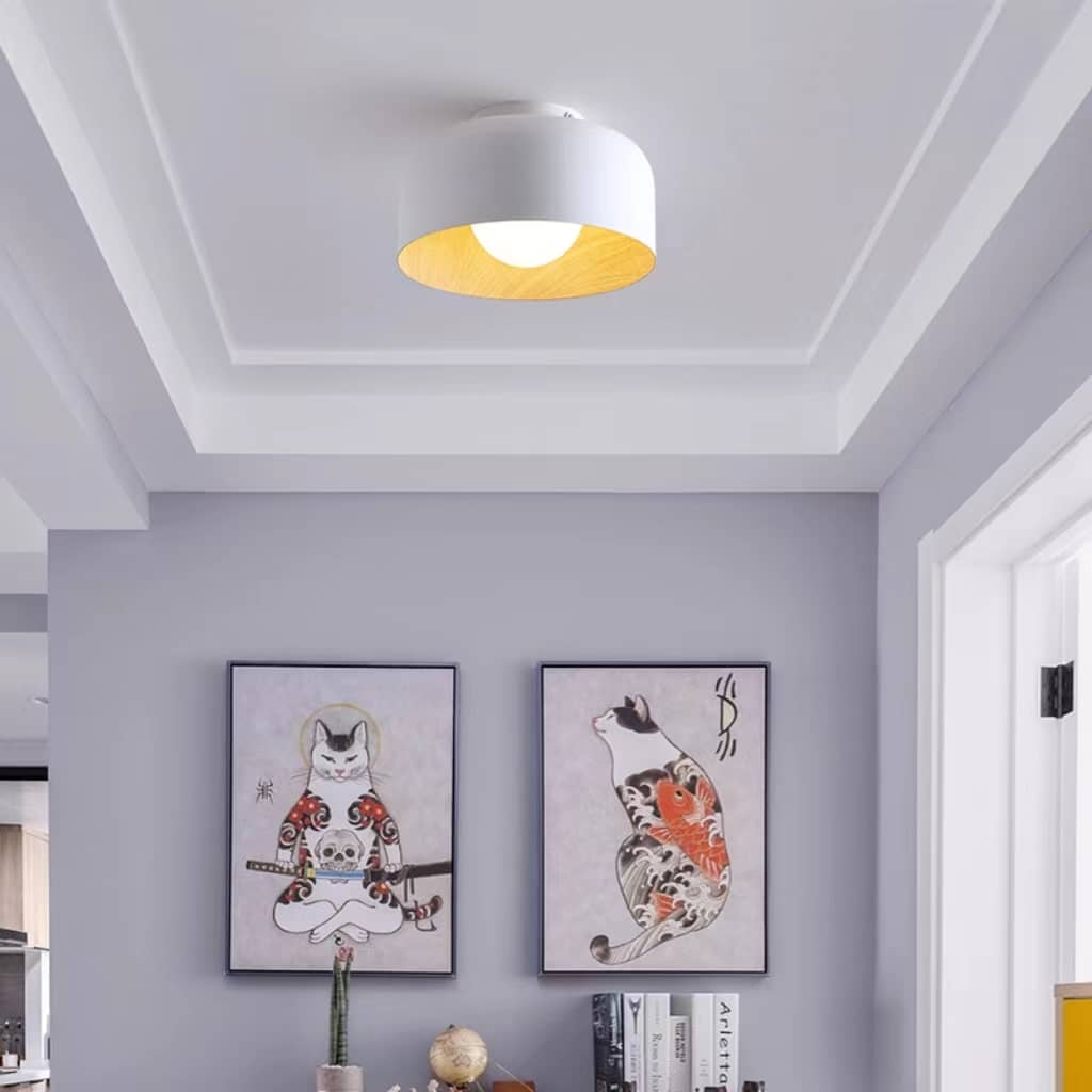 Nordic Minimalist Bowl Shaped Ceiling Light