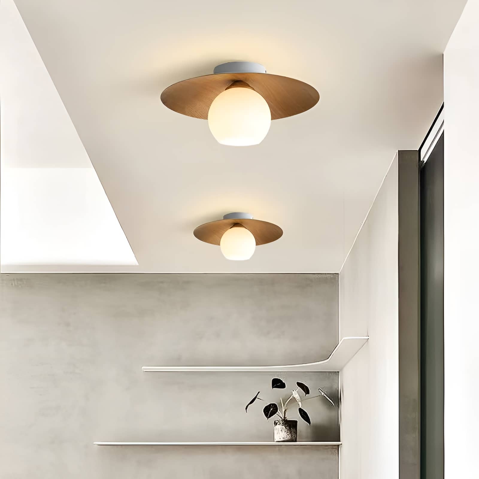 Japanese Style Disc Sphere Ceiling Light