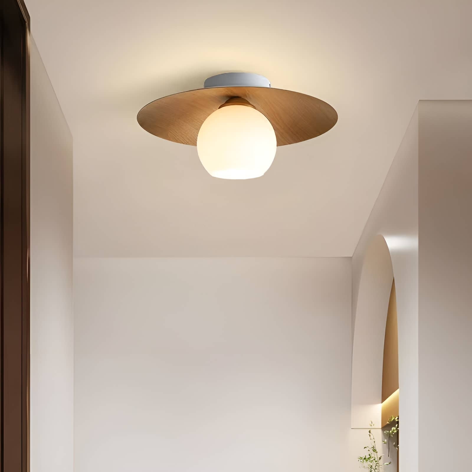 Japanese Style Disc Sphere Ceiling Light
