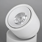 Macaron Small Colorful LED Ceiling Spot Light for Living Room