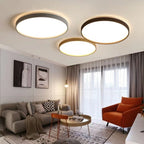 Modern Simple Acrylic LED Ceiling Light