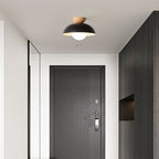 Modern Bowl Shaped Metal Ceiling Light