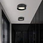 Modern Iron Round LED Interior Ceiling Light
