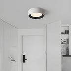 Modern Iron Round LED Interior Ceiling Light