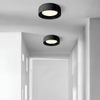 Modern Iron Round LED Interior Ceiling Light