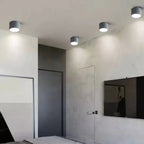 Modern Minimalist Mini Acrylic Ceiling Light