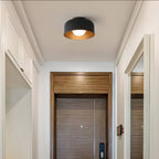 Nordic Minimalist Bowl Shaped Ceiling Light