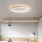 Nordic Style Simple Round LED Ceiling Light