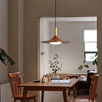 Retro Minimalist Flying Saucer Metal Pendant Light