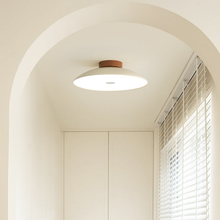 Scandinavian Minimalist LED Hallway Ceiling Light