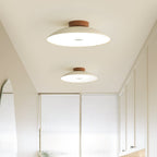 Scandinavian Minimalist LED Hallway Ceiling Light