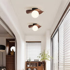 Soft Curve Modern Minimalist Ceiling Light
